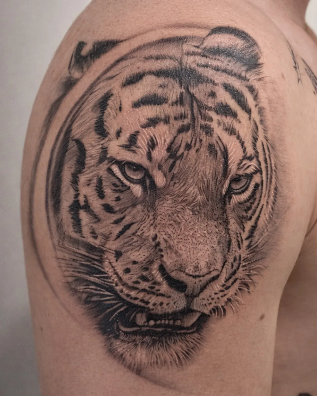 Tête de tigre en noir et gris réaliste, sur l’épaule